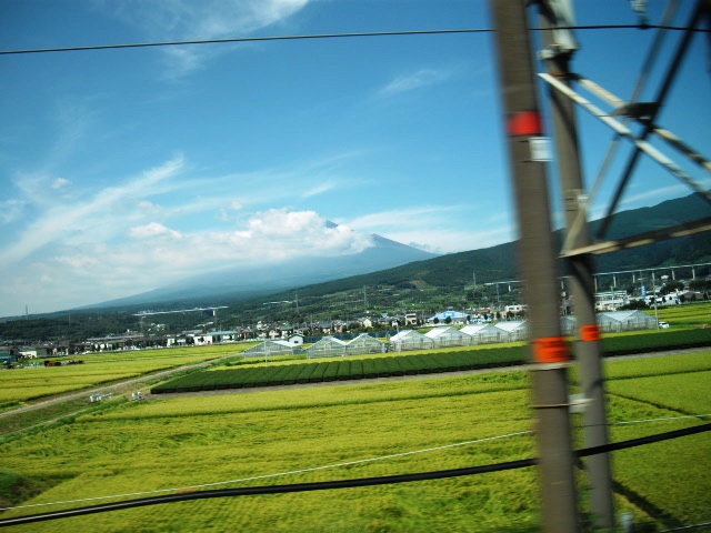 d0104926_4181995.jpg