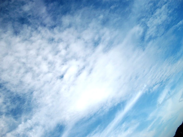 d0104926_4274637.jpg