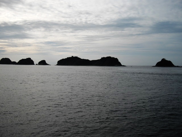d0104926_438437.jpg