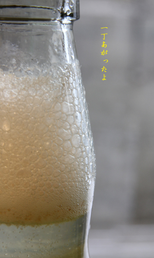 d0042827_16385447.jpg