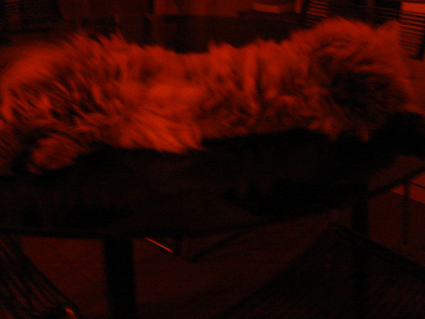 e0157129_18462960.gif