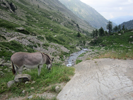 f0234936_630532.jpg