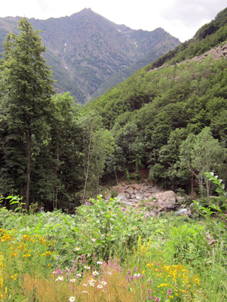 f0234936_6312375.jpg