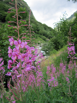 f0234936_6321449.jpg