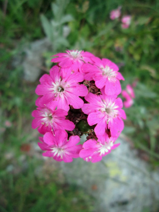 f0234936_633770.jpg