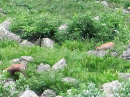 f0234936_634553.jpg