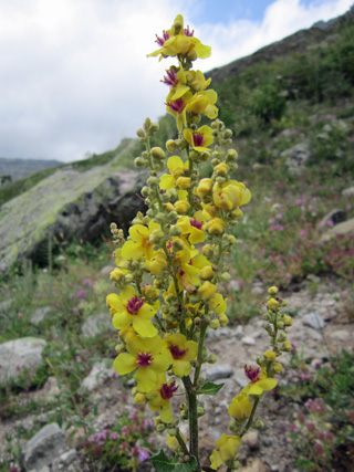 f0234936_6355219.jpg