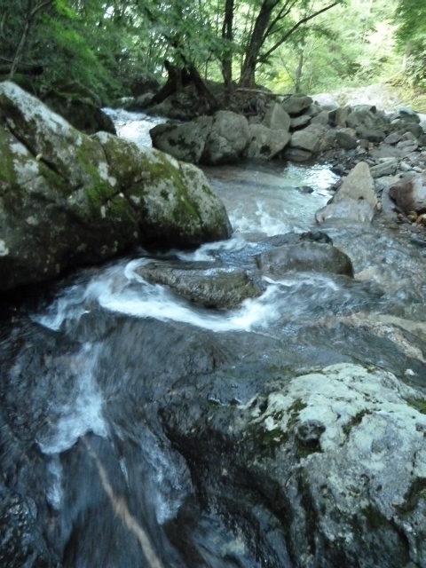 b0190242_10303817.jpg