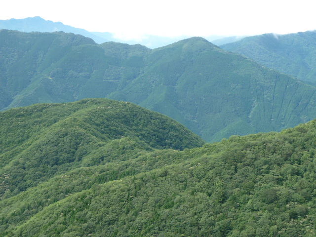 b0190242_10315793.jpg