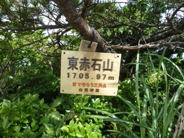 b0190242_10362913.jpg