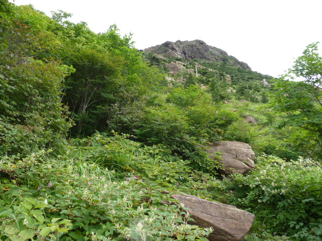 b0190242_10475241.jpg