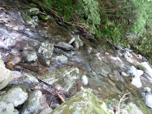b0190242_1048494.jpg