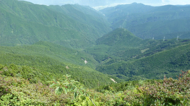 b0190242_10552026.jpg