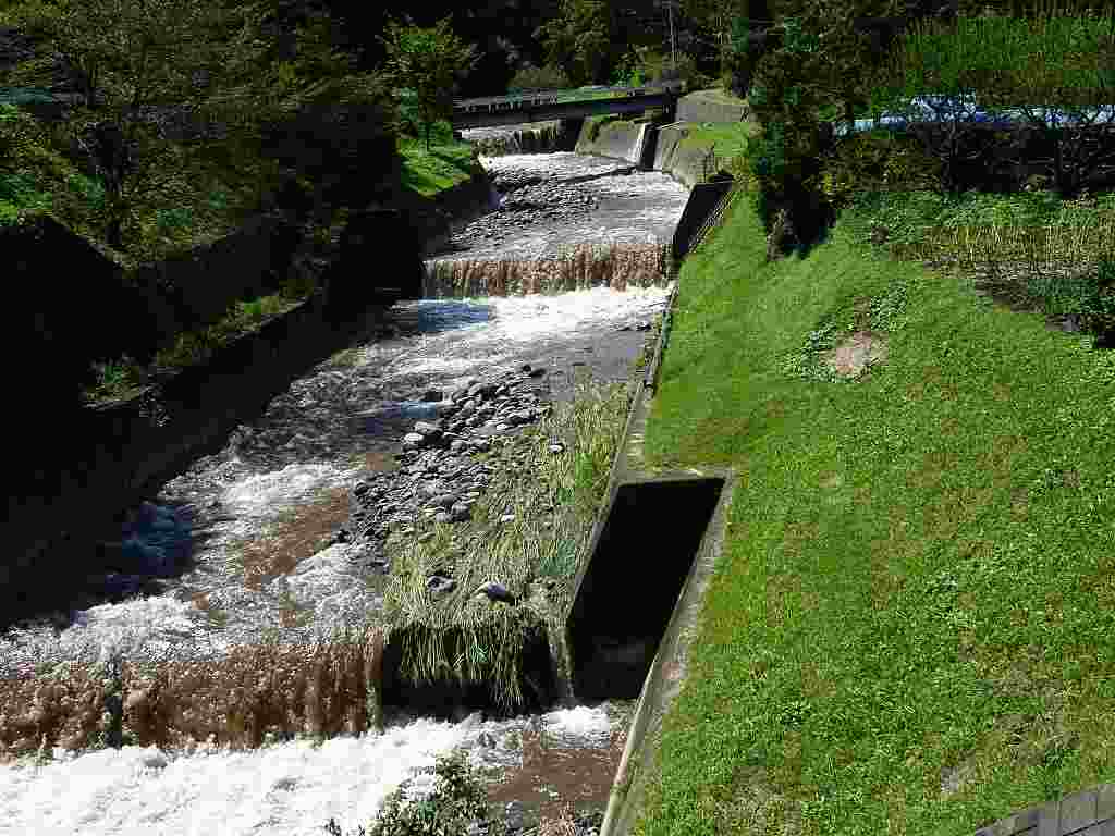d0182245_2334431.jpg