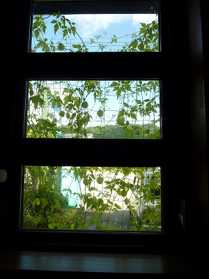 c0220047_9293945.jpg