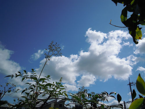 e0034047_1541370.jpg