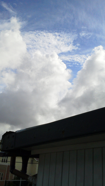 f0179947_1572094.jpg