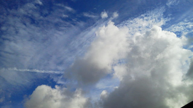f0179947_1573258.jpg