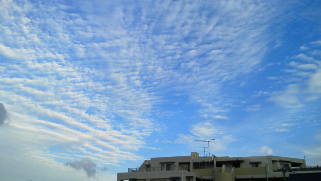 f0179947_1592075.jpg