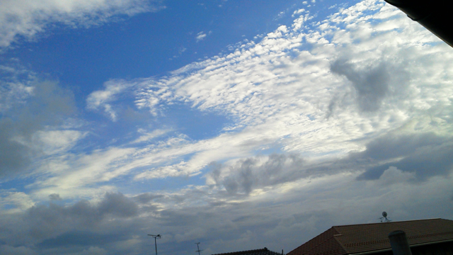 f0179947_1592915.jpg