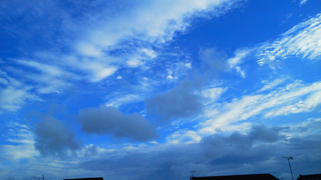 f0179947_1594172.jpg