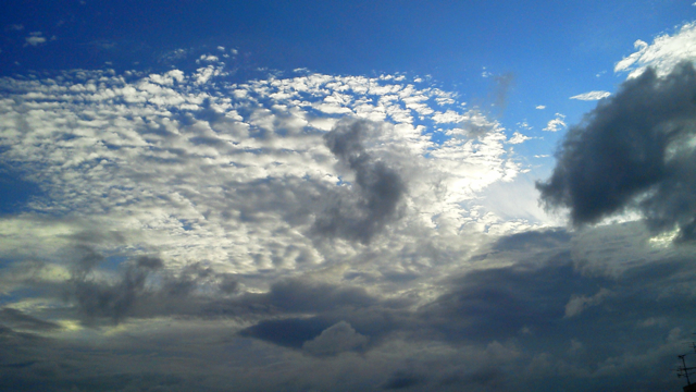 f0179947_20074.jpg