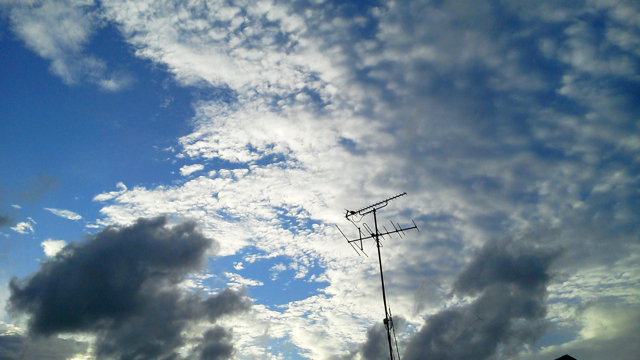 f0179947_202014.jpg