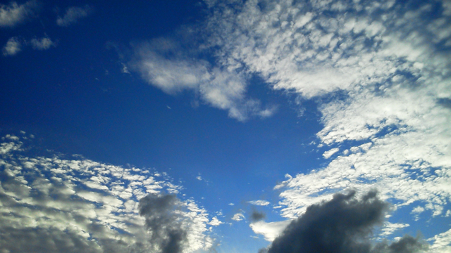 f0179947_204315.jpg