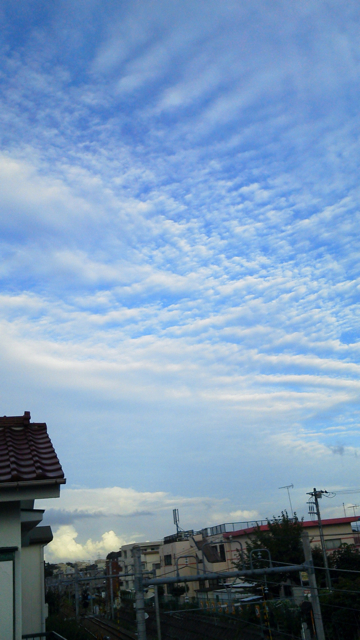 f0179947_212797.jpg