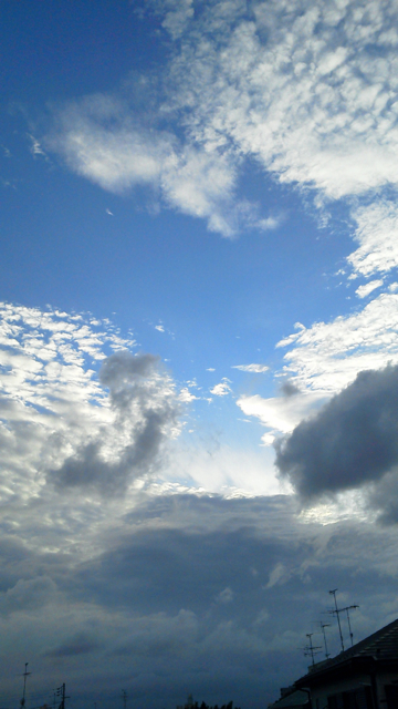 f0179947_21868.jpg