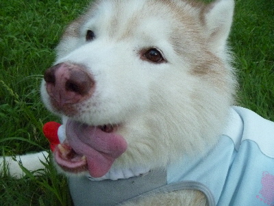 e0121548_20112853.jpg