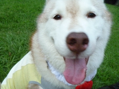 e0121548_20142850.jpg