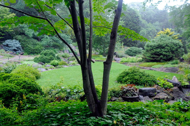 f0176458_19391034.jpg
