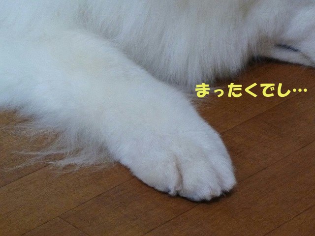 e0176159_21473446.jpg