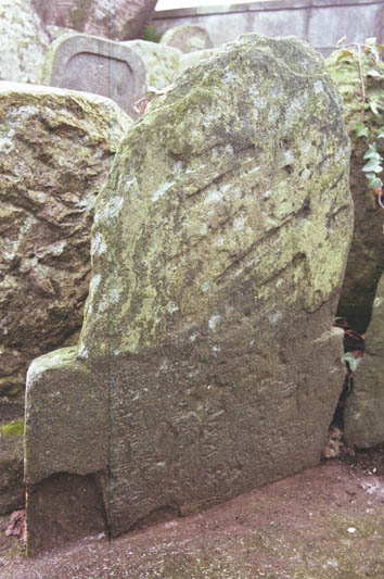 e0018762_920575.jpg