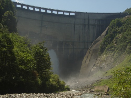 b0050067_049764.jpg