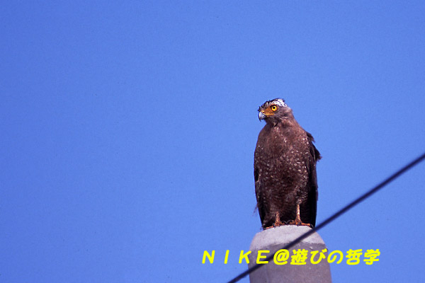 e0000968_21332951.jpg