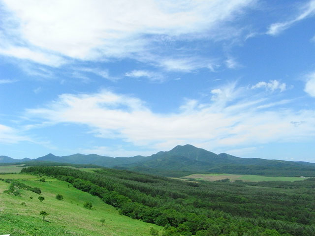 a0069270_0382073.jpg