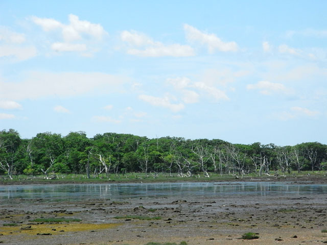 a0069270_0382946.jpg