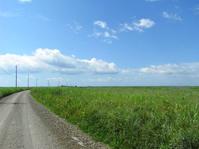 a0069270_0383579.jpg