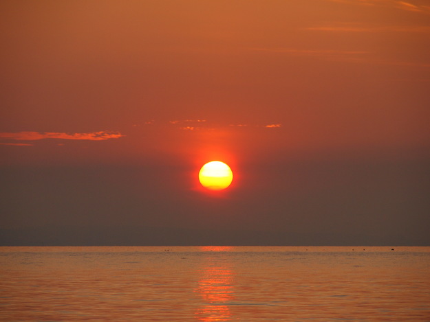 d0087270_1575939.jpg