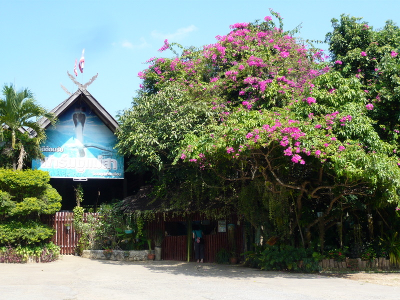 f0178278_1345274.jpg