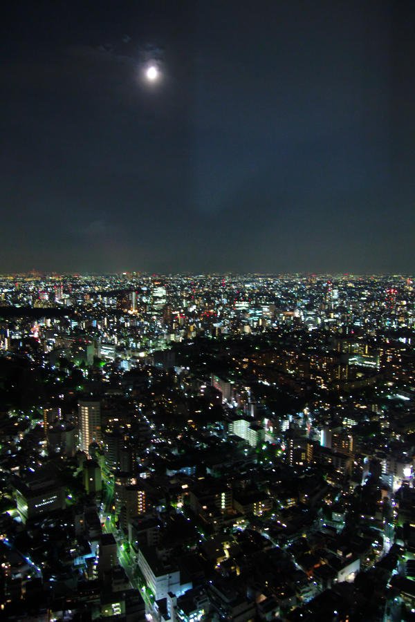 b0083779_23274350.jpg
