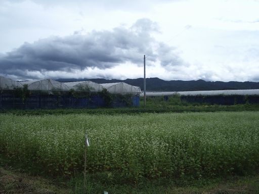 c0144683_20184947.jpg