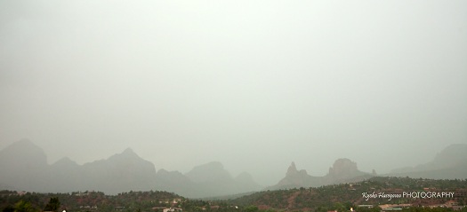 e0148185_1433840.jpg