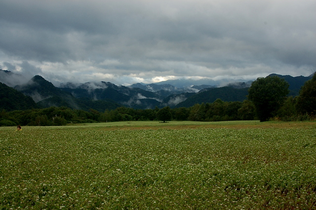b0203588_17165786.jpg