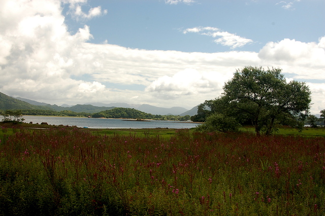 b0203588_1722024.jpg