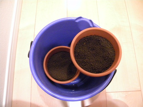 f0138093_219335.jpg