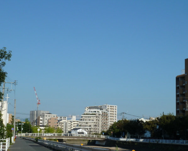 f0166694_1918837.jpg