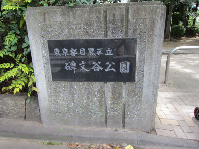 d0098295_17305535.jpg